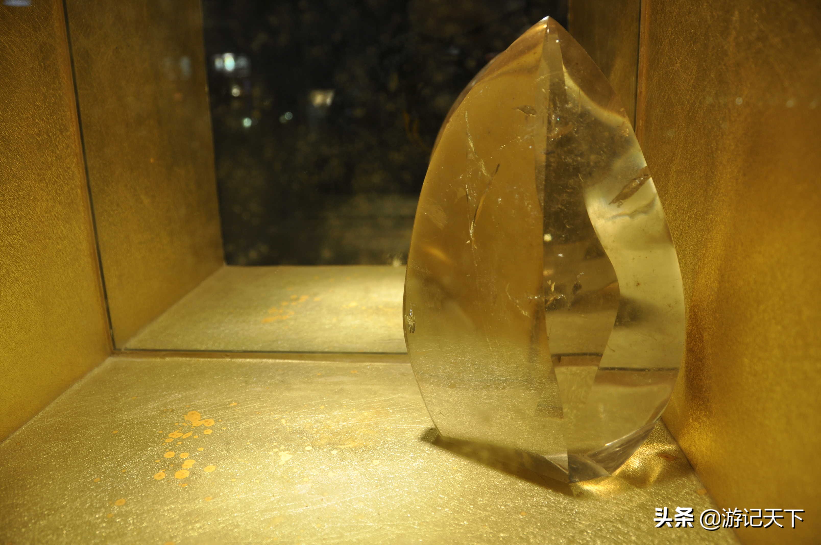 阿尼亚参观博物馆,上海地质科普馆游玩