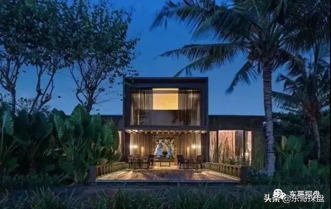 叱咤国际的豫籍金领，归郑置业为何不首选北龙湖？