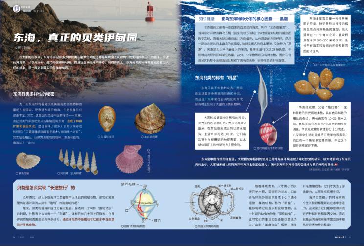 2021年上海国际贝展视频,2022年上海国际贝展