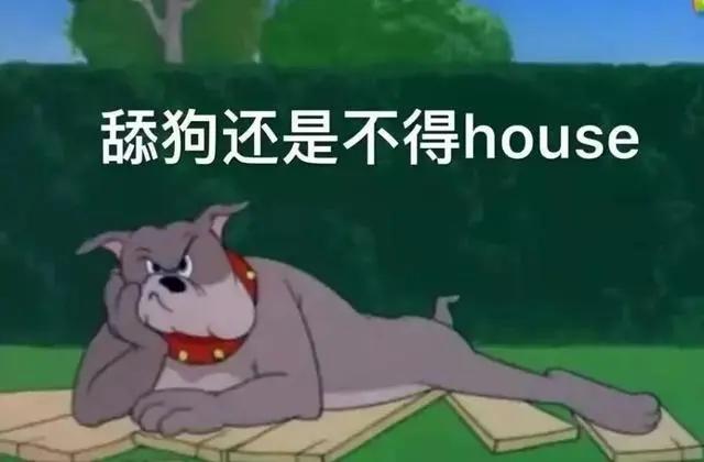 二十年后的汤姆猫,许多年后汤姆猫