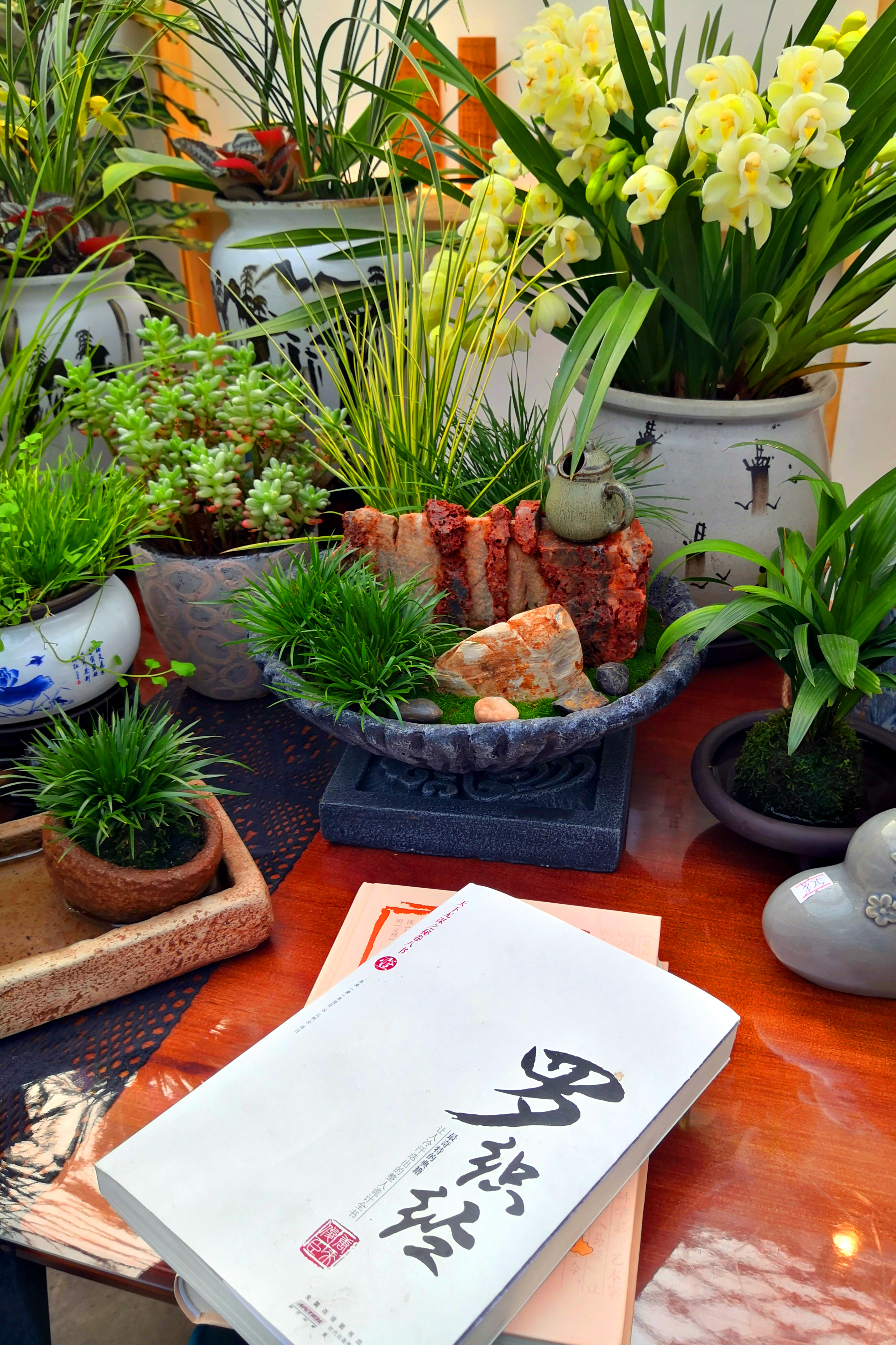 东营最大的花卉批发市场在哪里,东营地区哪里有花卉市场