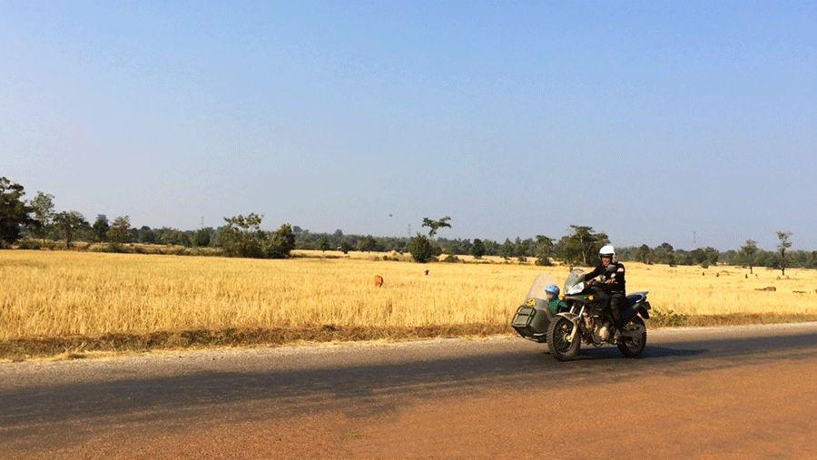 他叫辛巴，不是狮子王，8岁穿越12国：最好的教育，永远在路上