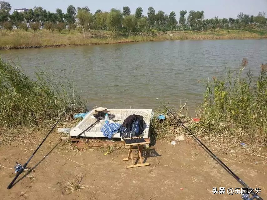 新手钓椅和钓箱,钓箱好还是钓椅实用