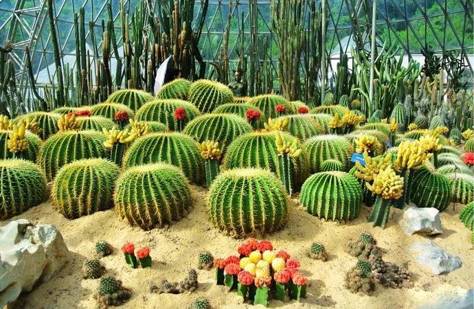 靠这64条玩转深圳！百万深圳人请收好！