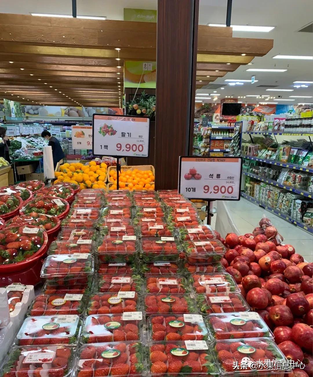 韩国水果批发市场进货渠道,韩国首尔最大的水果批发市场