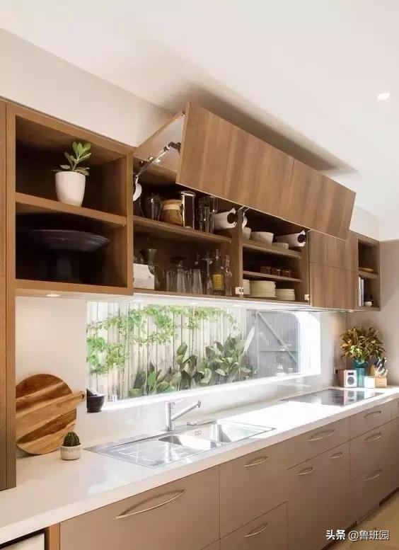 橡木种类大全及图片,史上最专业橡木介绍快来收藏吧