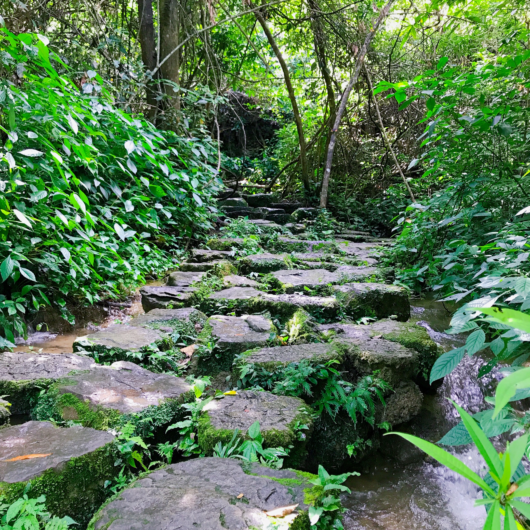 自驾游荔波小七孔旅游攻略,荔波小七孔游记600字