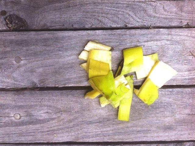 养花什么肥料好用又实惠,养花三种肥在家轻松就搞定