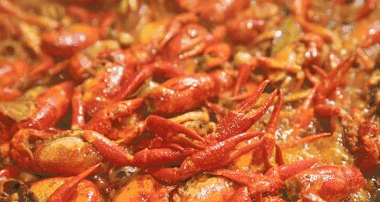 朱广权爆金句直播间,朱广权最近直播视频