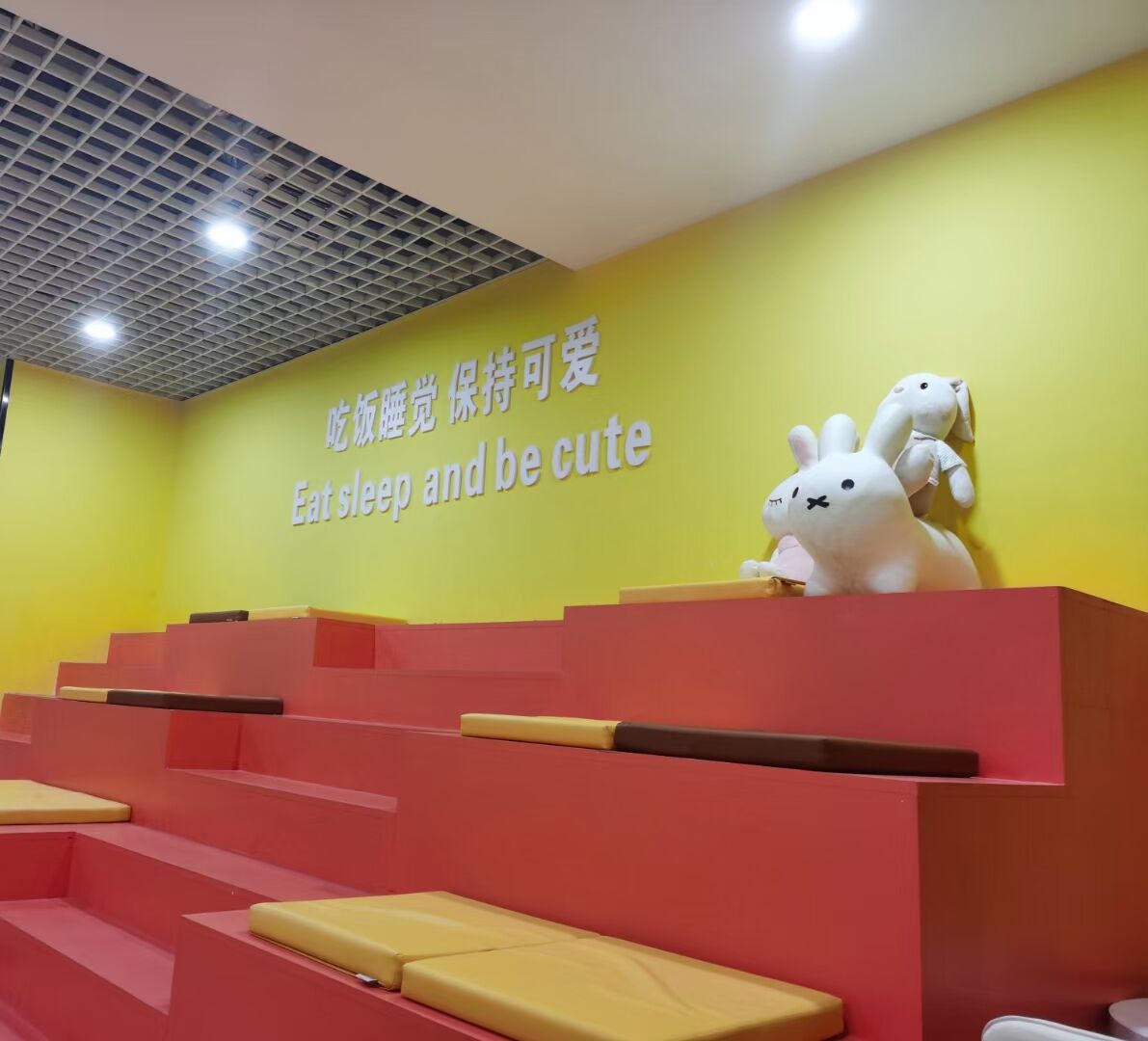 上海周末情侣打卡,上海好玩的萌宠体验馆