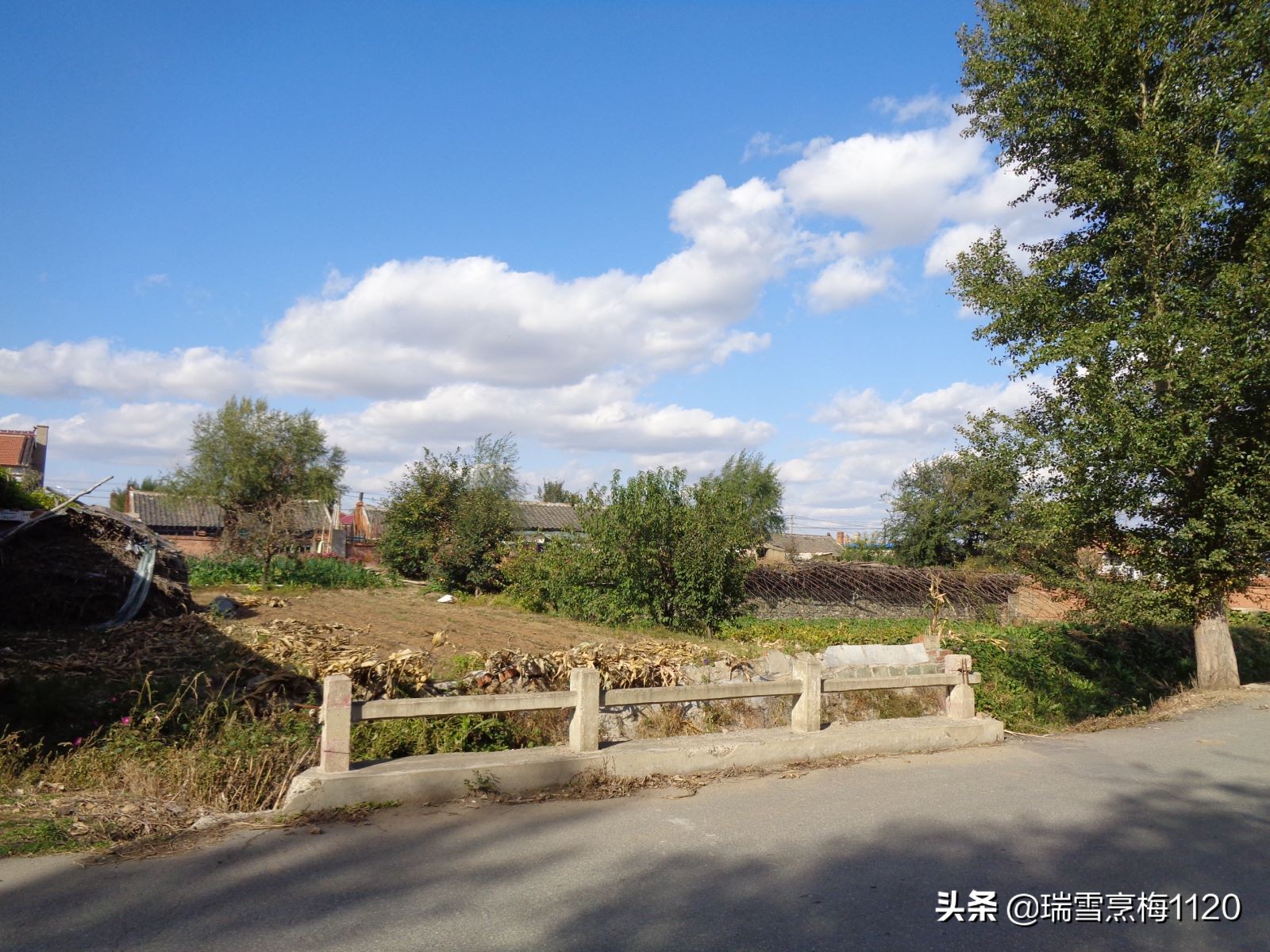沈北新区依路村,沈北新区马刚乡地图
