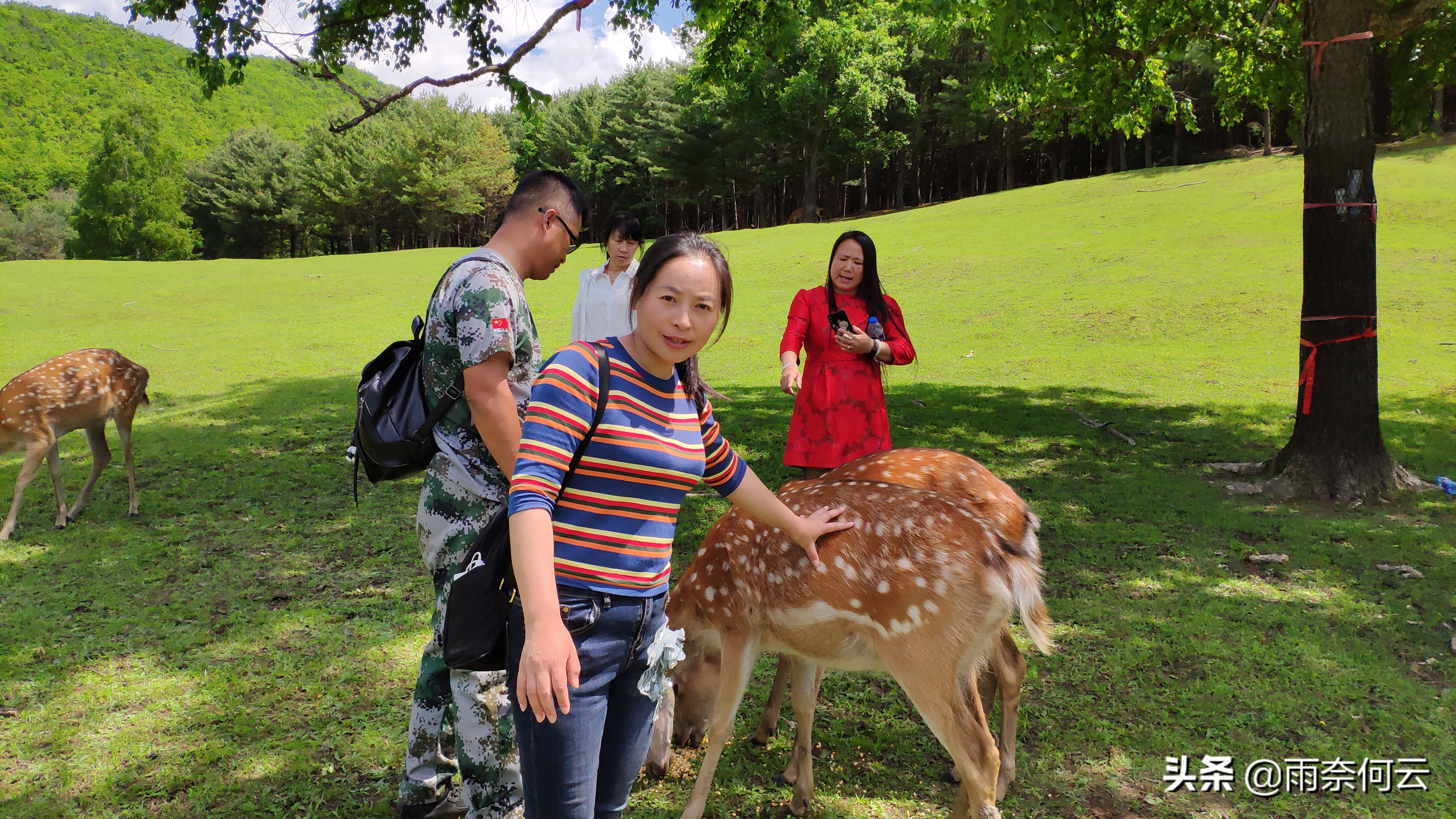 来到*今条头日**已经快2年了，感谢全部的粉丝家人们，谢谢你喜欢我