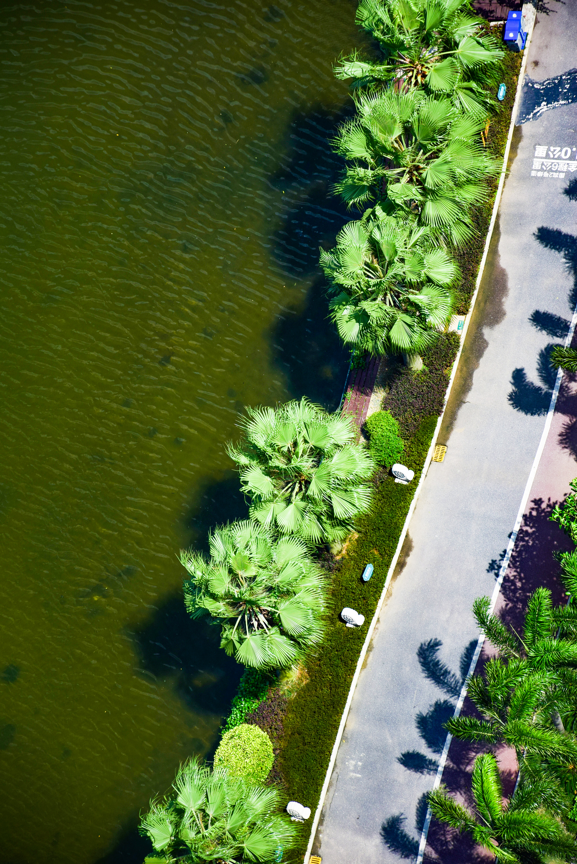 北海观山海高尔夫,北海最漂亮的场地