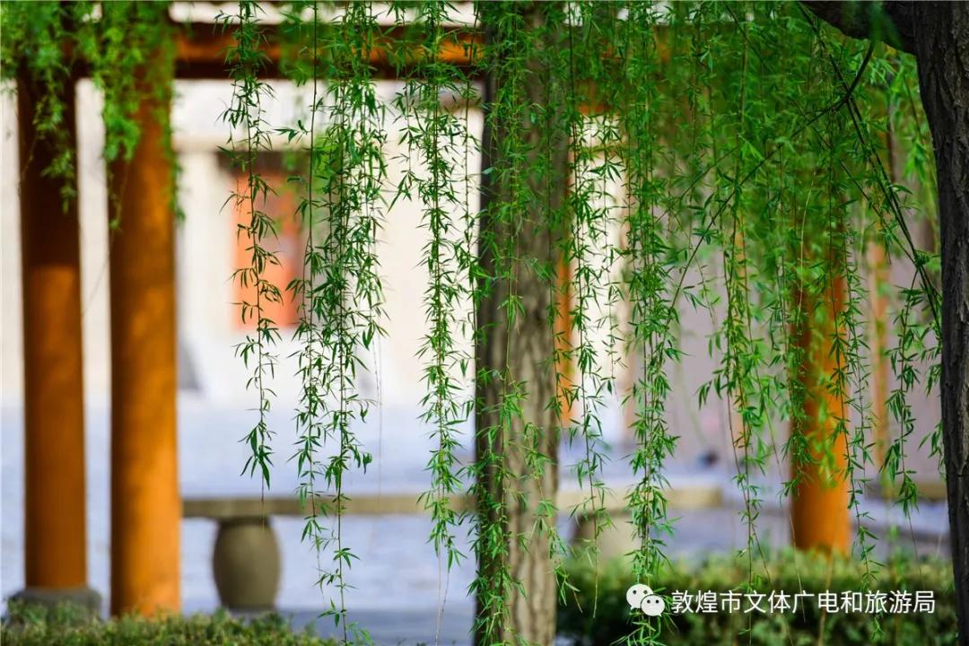 鏁︾厡灞卞簞搴櫌鏅,鏁︾厡灞卞簞搴櫌娣卞害