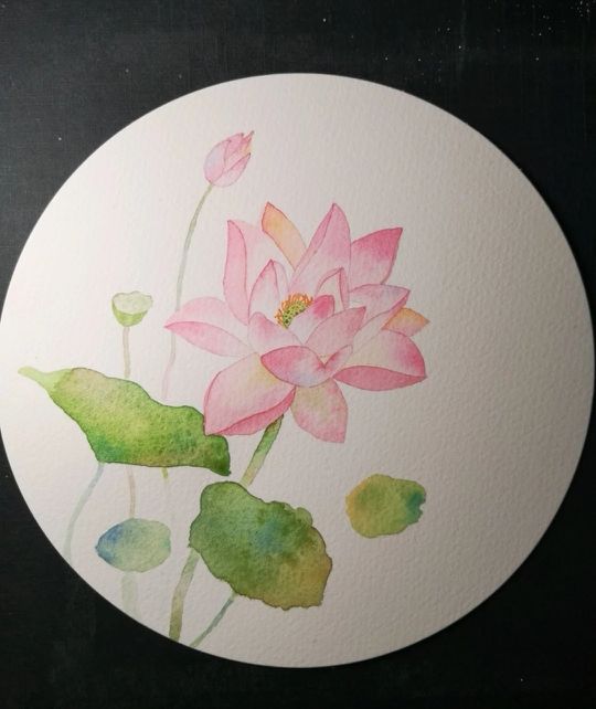 荷花的4种画法,最简单的荷花画法一学就会