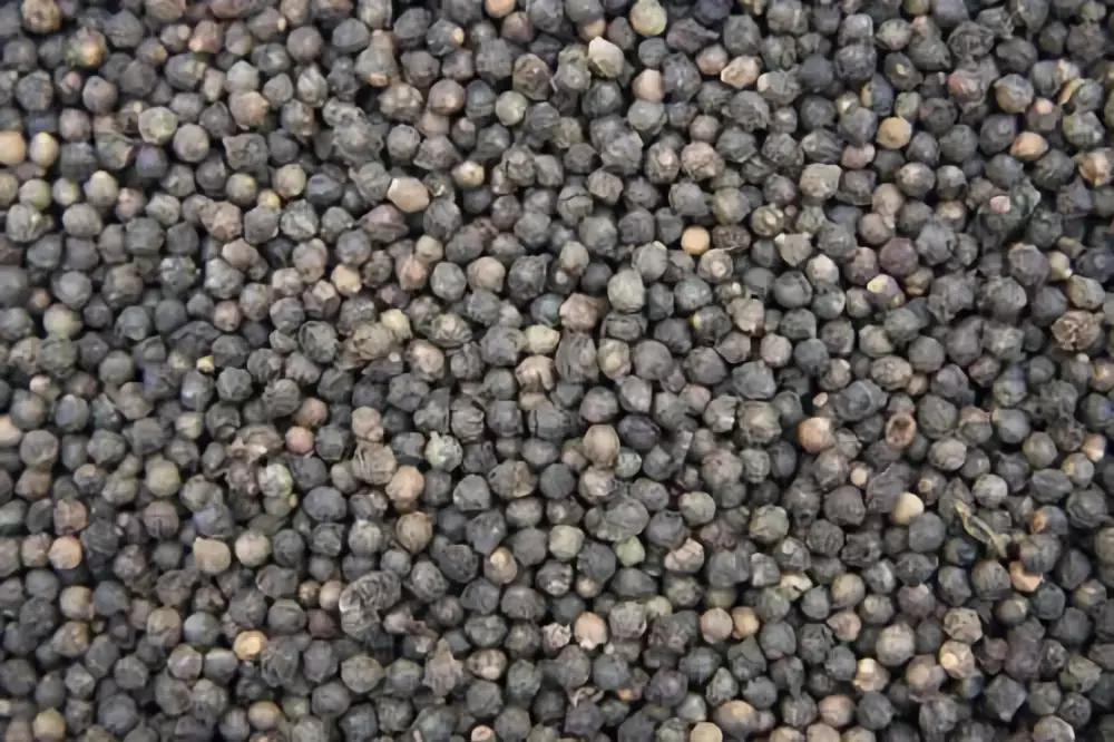 常见蔬菜种子催芽方法,蔬菜种子催芽小技巧