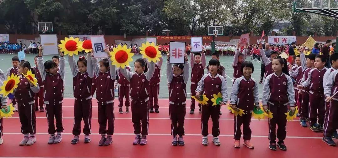 广州荔湾区哪几家小学比较好,广州荔湾区最好小学排名