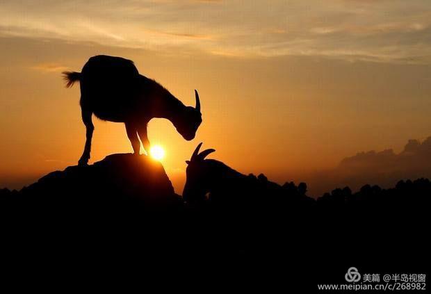 文蕴秀岭，馨怡乐园｜廉江文秀岭农牧场散记