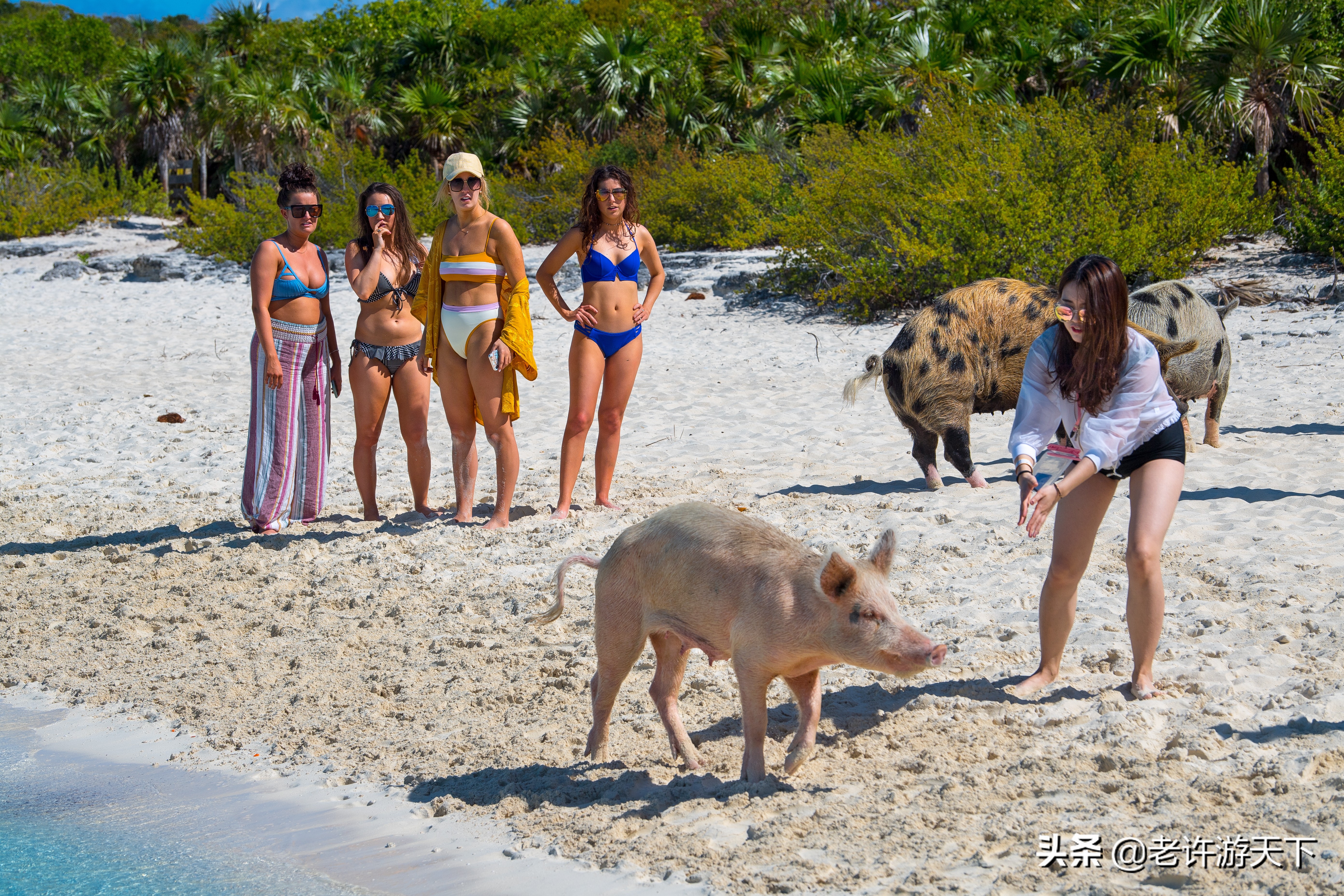 世界有名的海岛旅游胜地,世界10大最奇特海岛