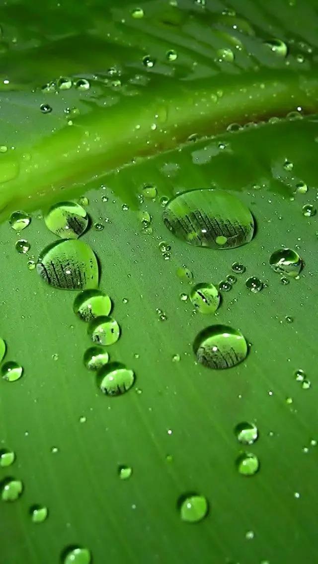 白岩松经典语录感悟人生哲理 (白岩松经典语录集锦好的变成坏的)