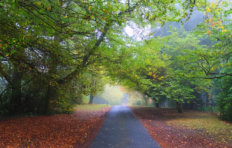 50张顶级绝美风景壁纸,绝美的海边风景图片壁纸
