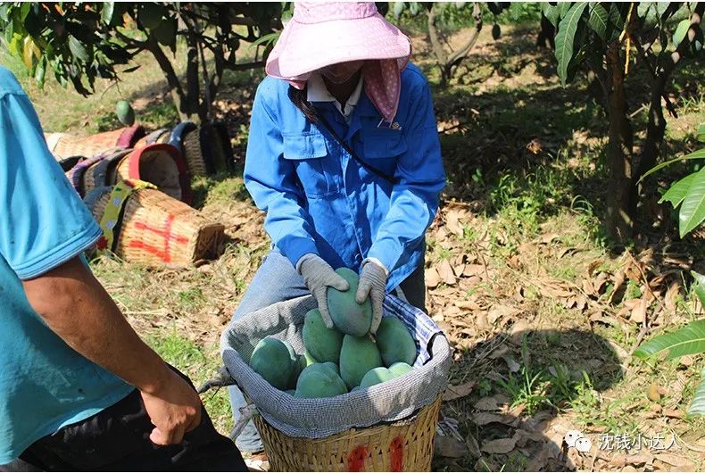 日本Morozoff巧克力礼盒119,卷纸7.9,丸美小棕瓶39/2件,时克