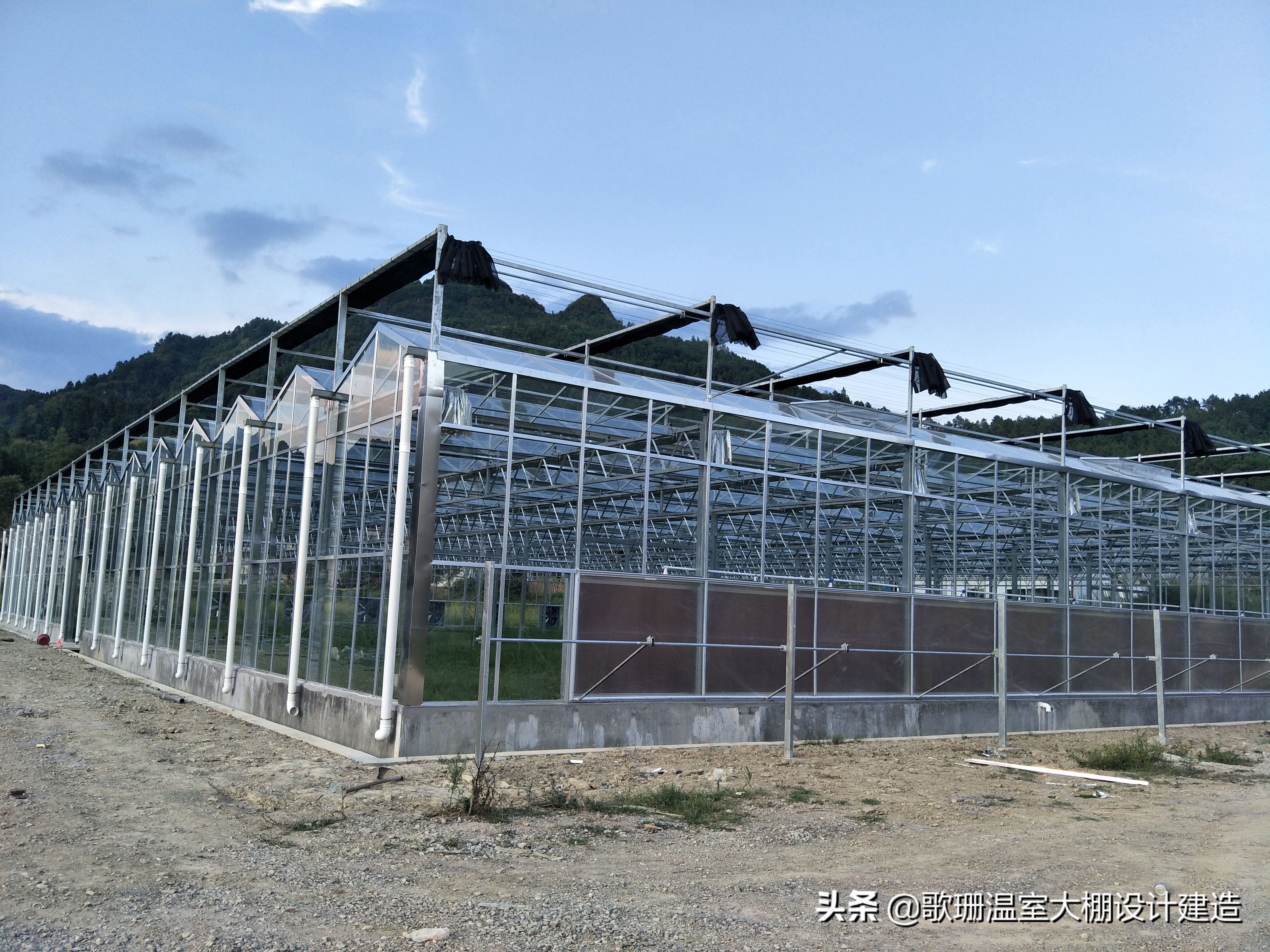 歌珊温室大棚设计,歌珊温室电话
