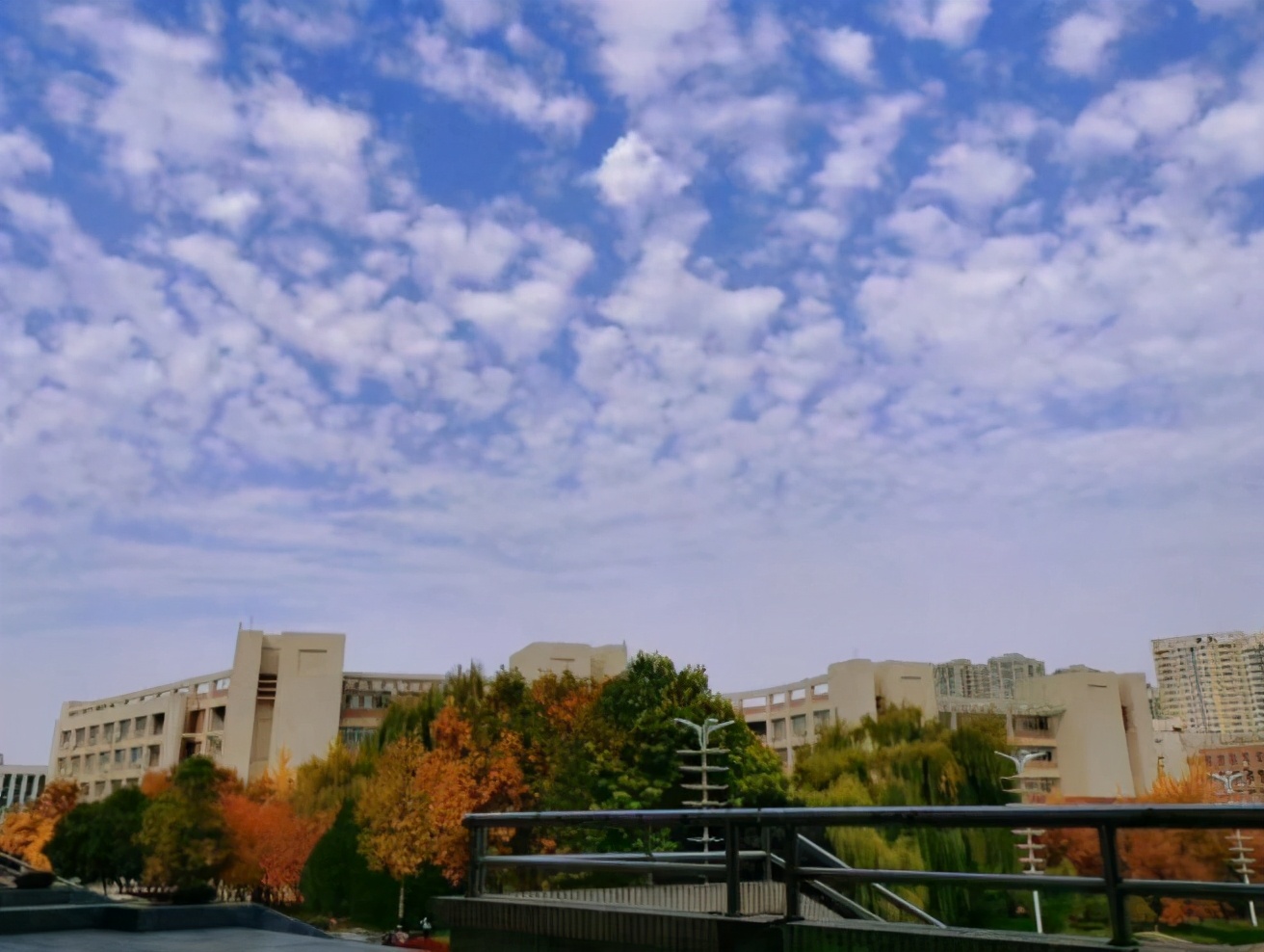 陕西2021高考预计分数线,陕西近期高考分数线