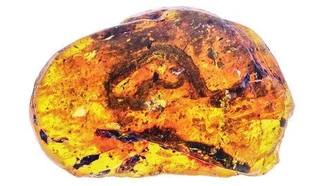 缅甸琥珀复原过程,科学家发现恐龙时代琥珀化石