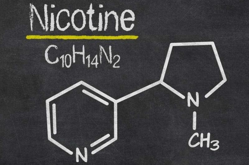 烟草公司证明抽烟对身体无害,英国对48只狗进行吸烟实验