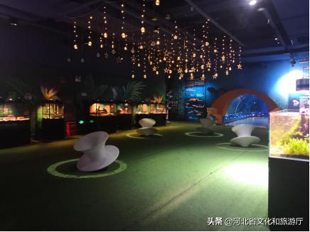 海洋公园特价35元起,快来唤醒来自世界各地的海洋居民吧!