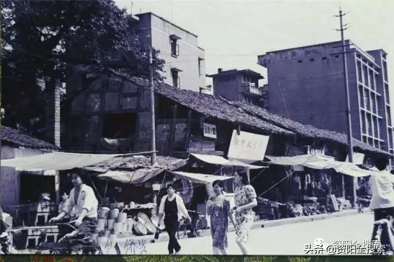 资阳和平路又到了飘“毛毛雨”的时候