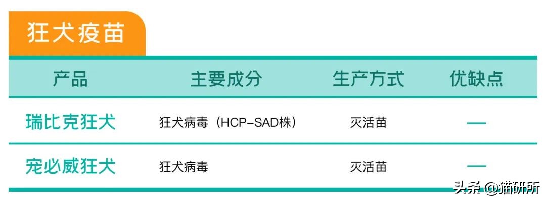猫咪接种后精神不好应该注意什么,猫咪接种疫苗后腹泻怎么办