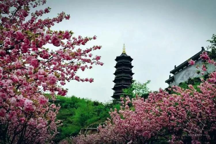 去重庆提前预约什么,先重庆游玩再去峨眉山旅游攻略