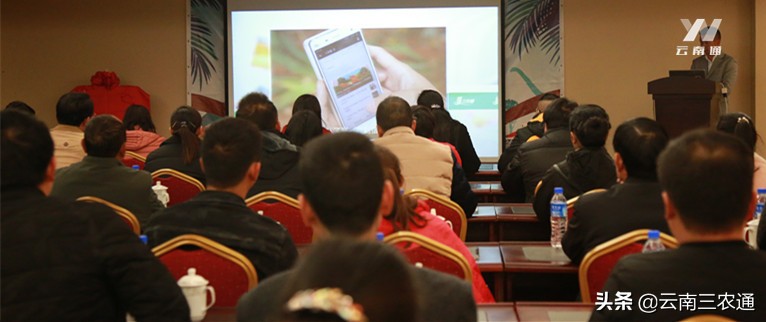 三农服务工作站,做一个合格的农民搬运工