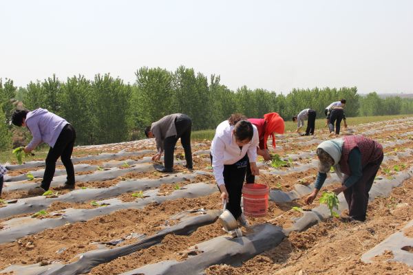 婚后妈妈的爱有多卑微,婚后感受妈妈的爱