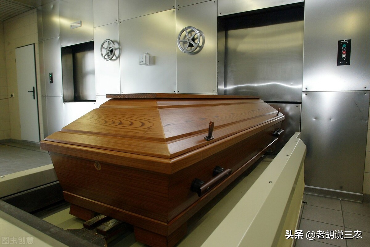 老农说：“柳木菜墩椿木案，桐木棺材金不换”，这是怎么回事？