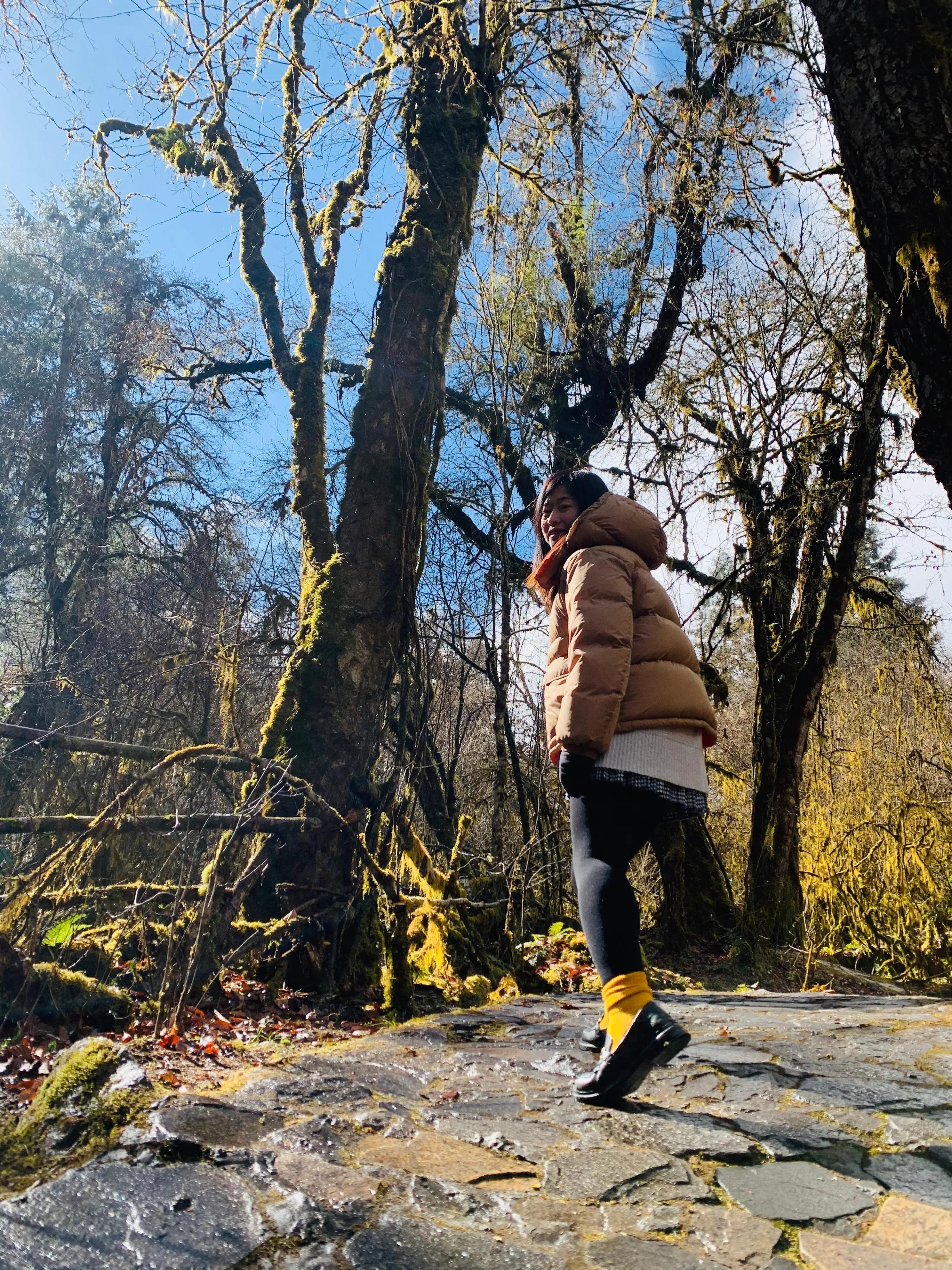 海螺沟燕子沟旅游攻略,海螺沟和燕子沟哪个更值得去