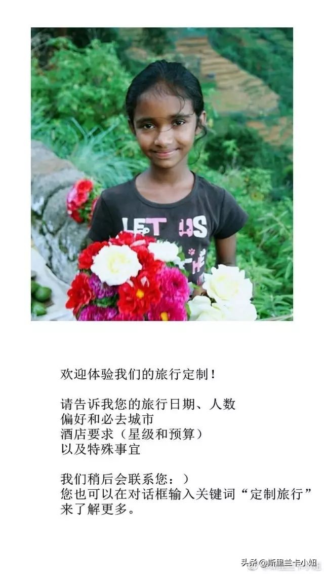 斯里兰卡带孩子游玩,斯里兰卡安缦