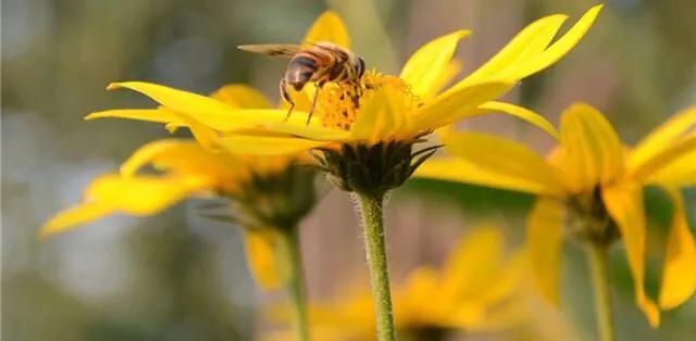 10个冷知识,微信发错照片超过30分钟怎么撤回