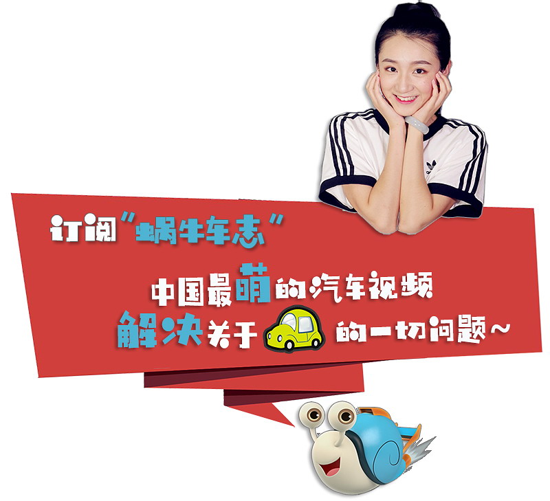 国内著名的三大伪豪车是哪些车,国内公认的5大伪豪车系列