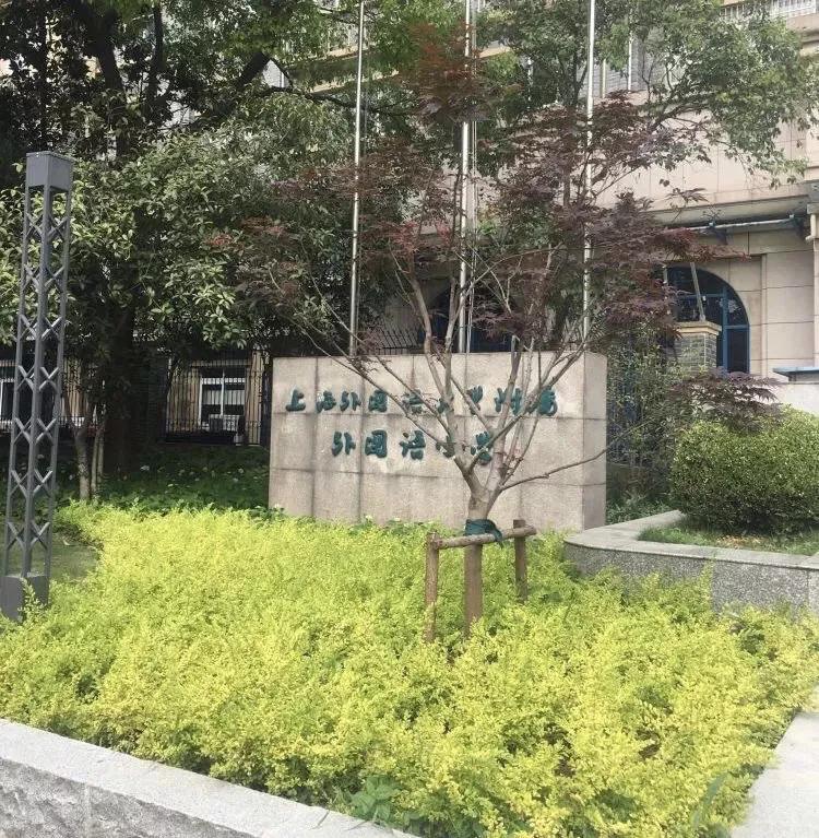 上海这12所民办小学竟能对口公办初中入学