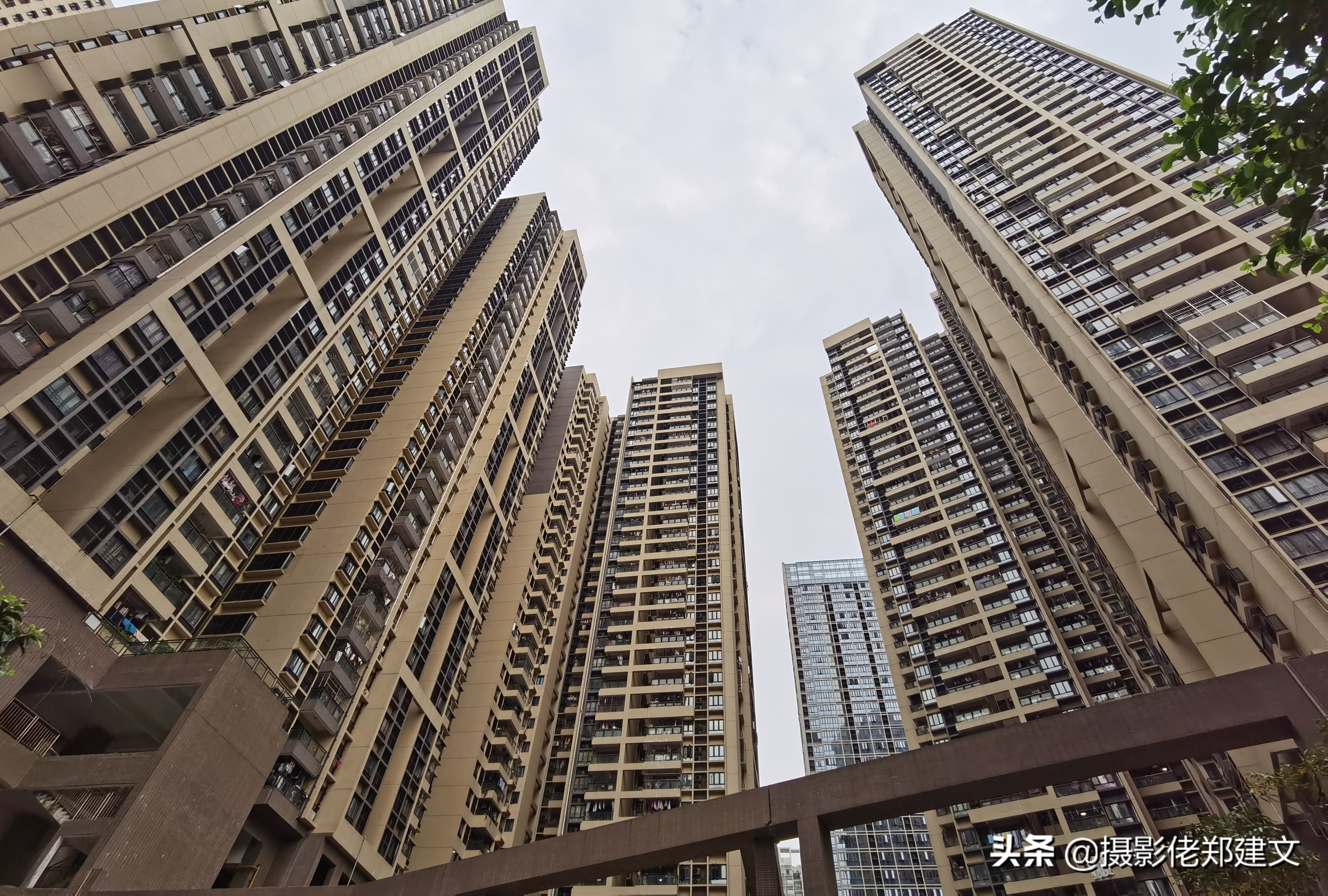 杨箕村旧视频,杨箕村改造图