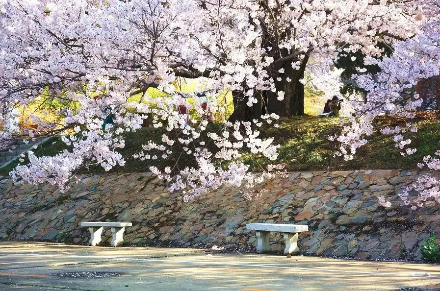 辽宁有美丽的小镇,辽宁有个小城市