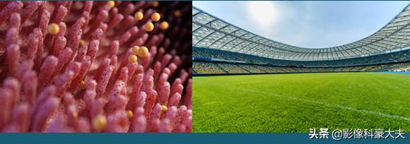 6天没排便，住院洗肠，孩子埋怨浪费3000块