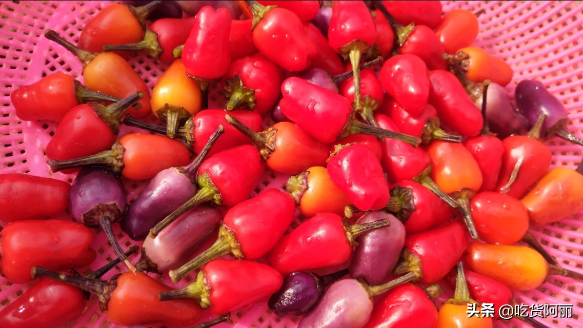 七彩椒怎样腌最好吃,酸脆七彩椒腌制过程