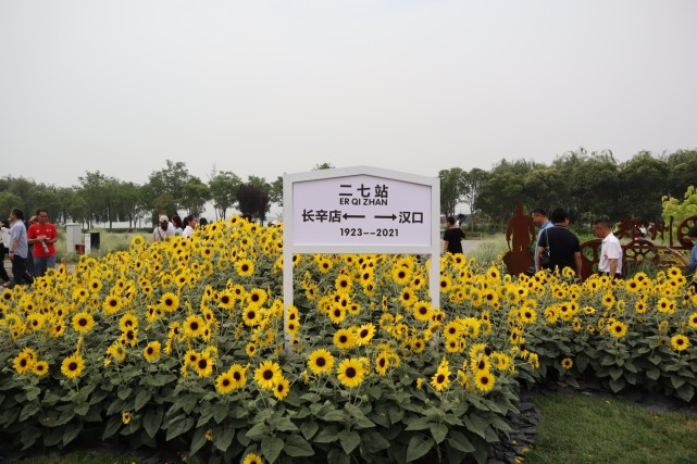 郑州值得打卡的免费公园,郑州网红打卡圣地蝶湖森林公园