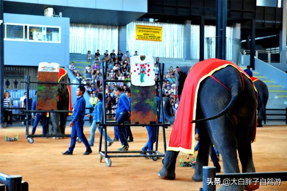 泰国风情之旅完整版小说,泰国风情十日游