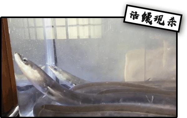 深藏麦地7年的居酒屋！有道100+年鳗鱼料理，很多人慕名而来