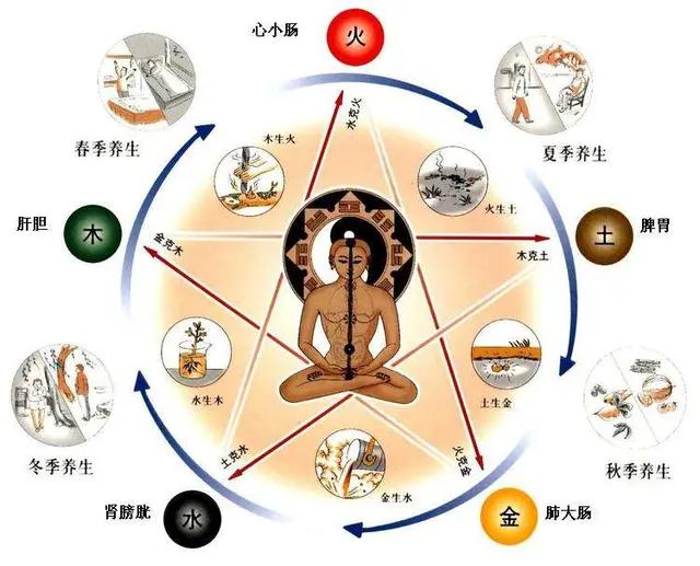 中医阴阳五行学说基本内容,中医五行学说记忆口诀